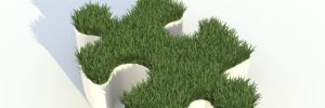 Read more about the article How Does 3D Puzzle Game Develop Personality?